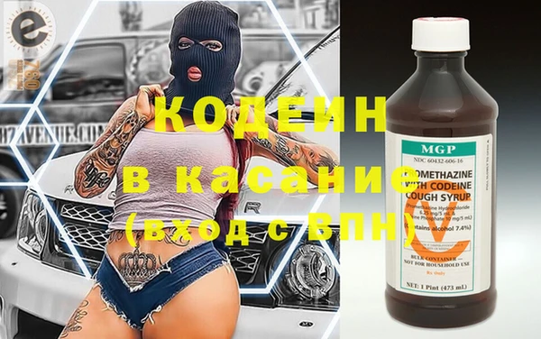 хмурый Алзамай
