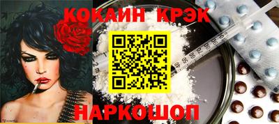 стафф Гатчина
