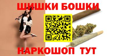стафф Гатчина