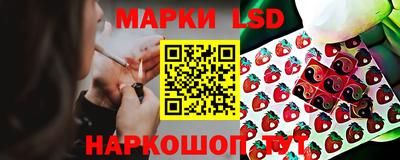 стафф Гатчина