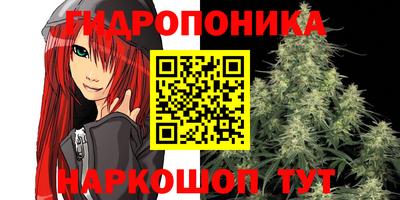 соль ск Гагарин