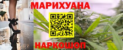 стафф Гатчина