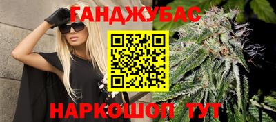стафф Гатчина