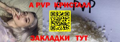 стафф Гатчина