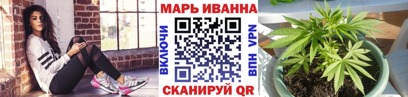 Бошки Шишки сатива  как найти   Железноводск 